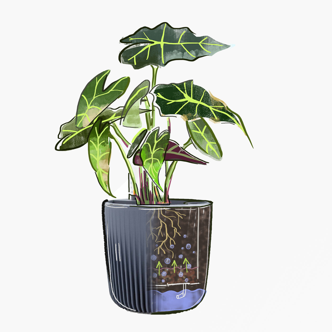 Modulares Pflanzenzubehör – Self Watering Planter "Amazonia" - Image 8