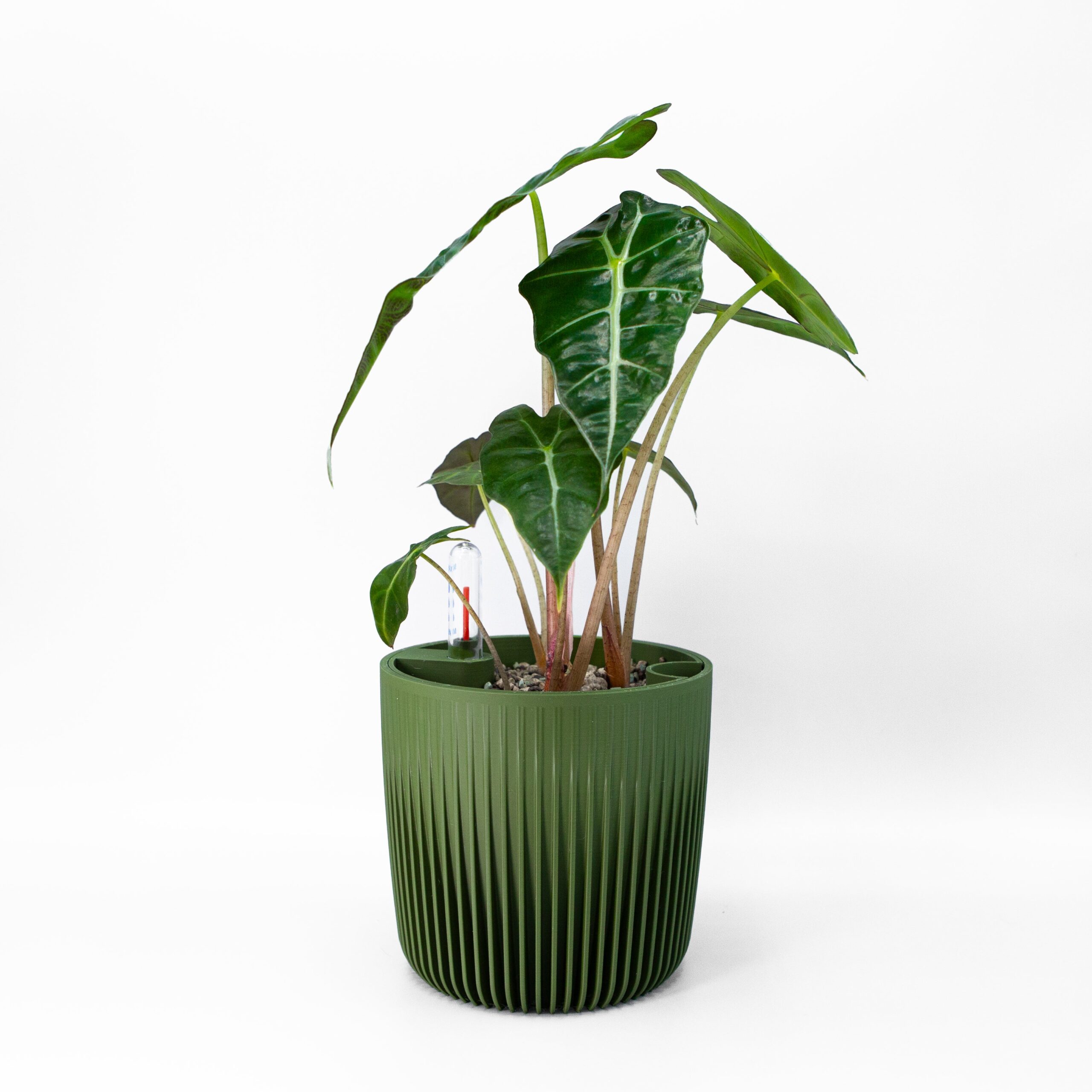 Modulares Pflanzenzubehör – Self Watering Planter "Amazonia" - Image 5