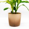 Modulares Pflanzenzubehör – Self Watering Planter "Amazonia"